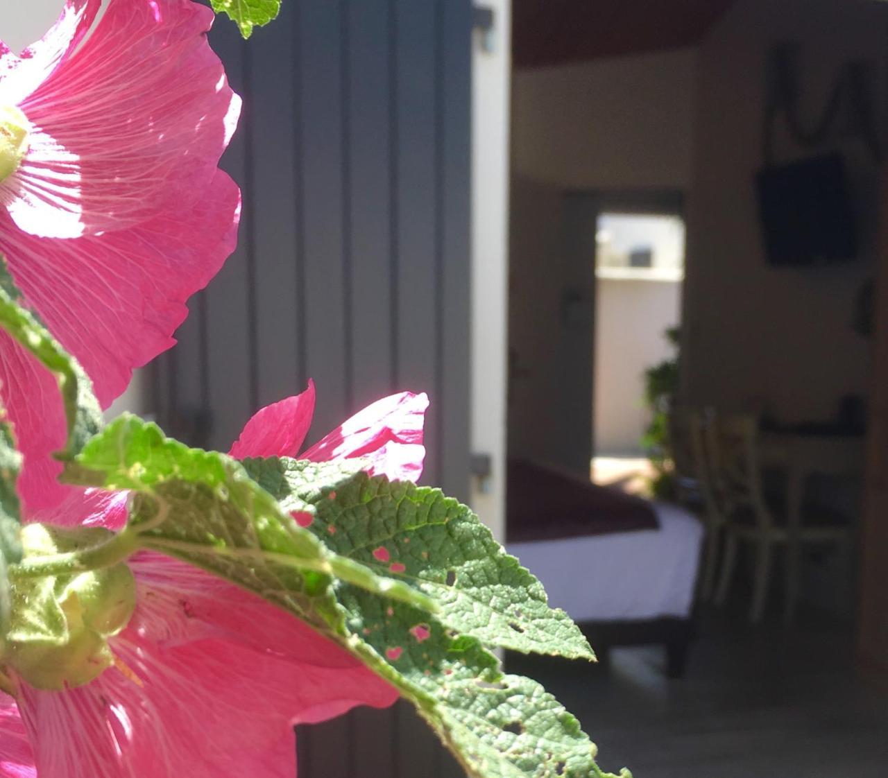 Hotel Restaurant & Spa Plaisir Le Bois-Plage-en-Ré Buitenkant foto
